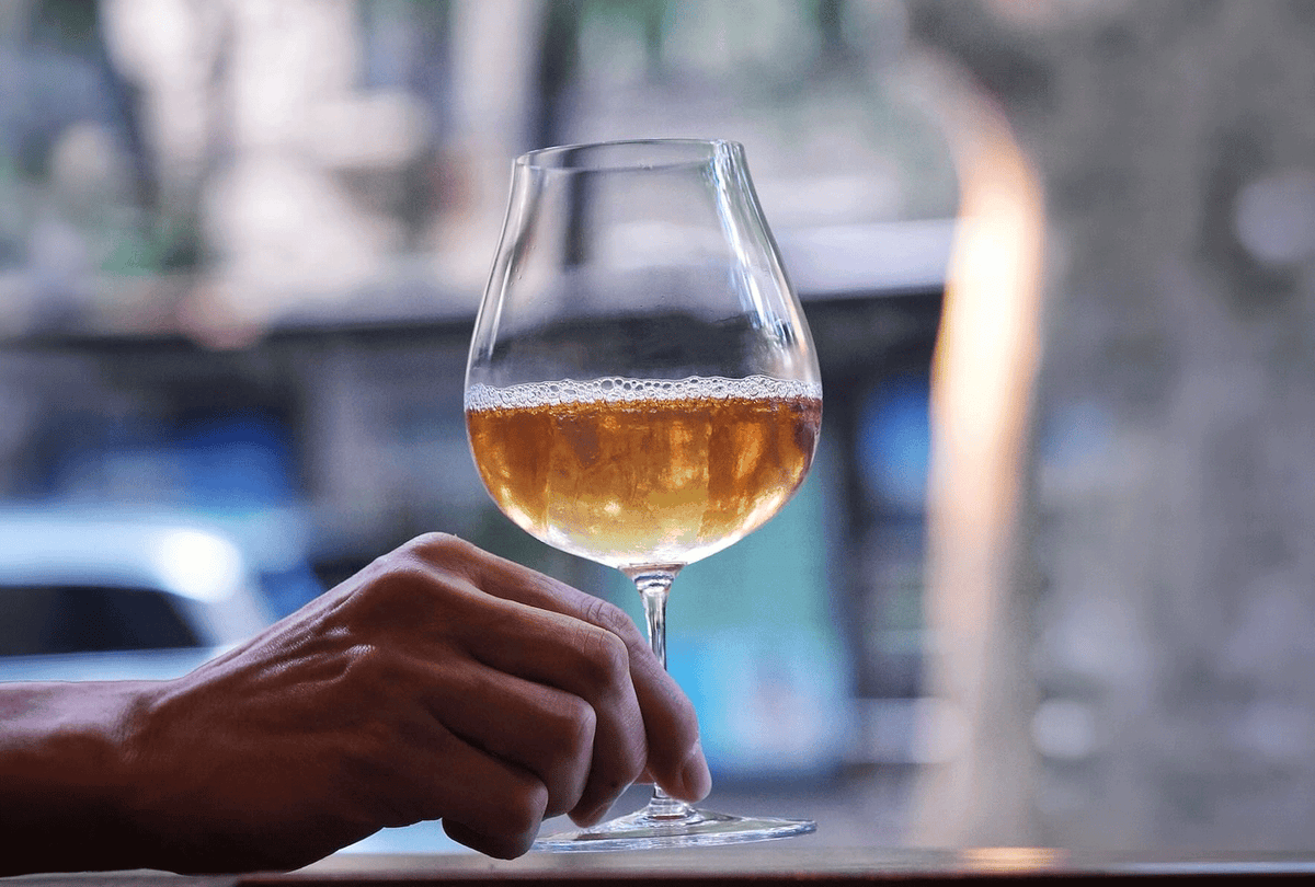 SIP AND GUZZLE NAUTILUS wine glasses